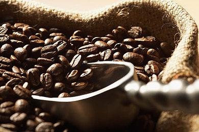 科幻与奇幻交错的冒险世界 全新合作冒险游戏《双影奇境》