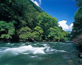 《Winter Burrow》公布最新预告 童话风生存冒险